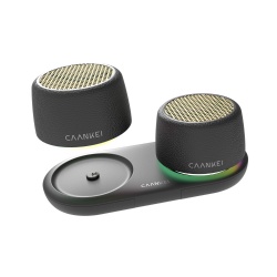 CS20plus Wireless Bluetooth Speaker
